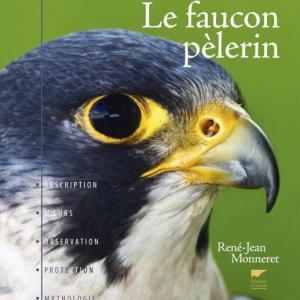 Faucon pelerin rene jean monneret