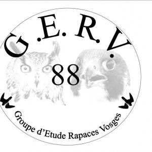 Logo gerv 3 0